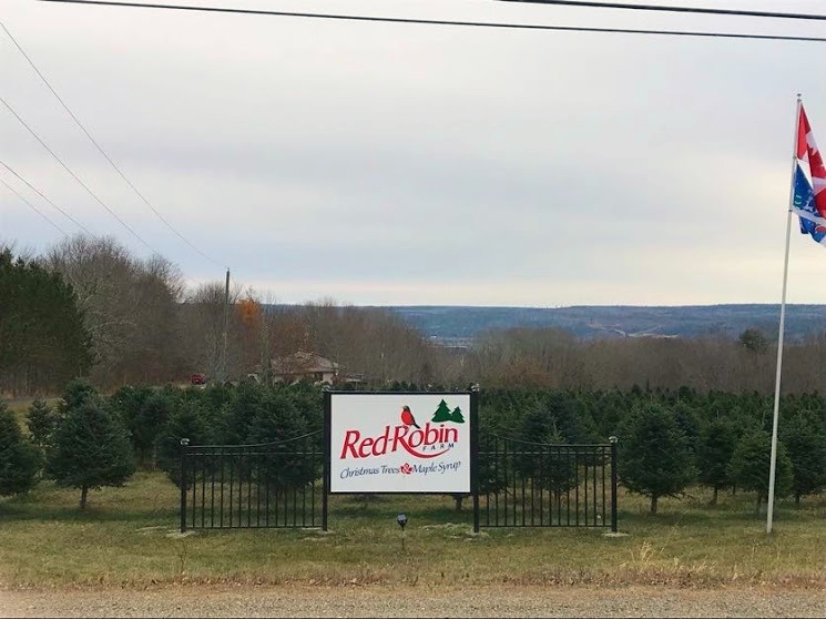On the Farm with AirBnB Farmer Gerry and the Christmas Trees