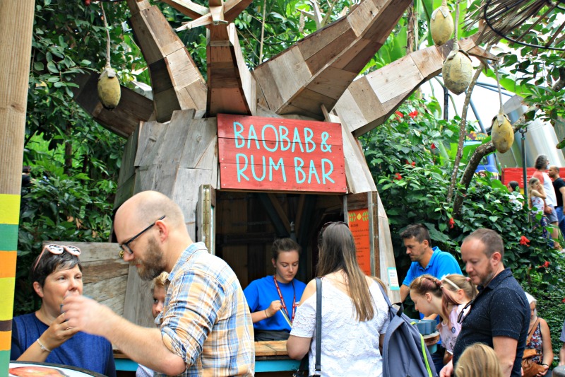 Baboab smoothie at the Baboab and Rum Bar. Photo by Helen Earley