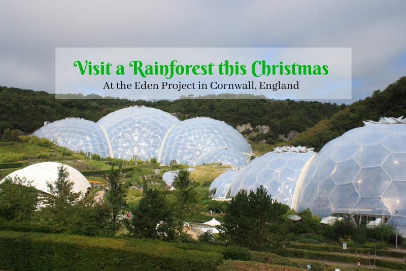 Travel Feature about the Eden Project by Helen Earley