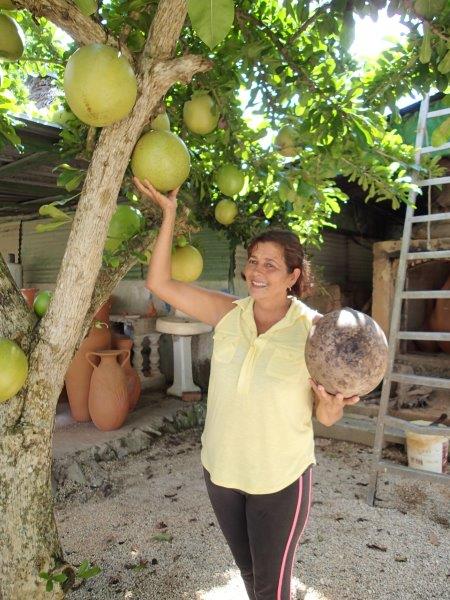 Odalys Correa brings her artistic talents and love of the land to Finca Coincidencia - photo Debra Smith