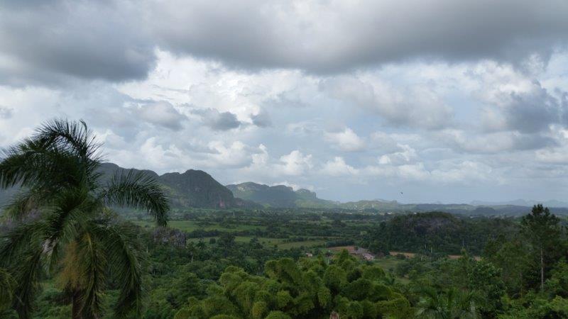 The lush Vinales Valley has rich farmland and mogotes covered in Royal palms - photo Debra Smith