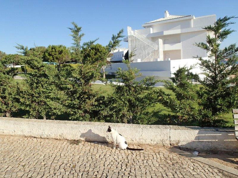 Out for a stroll in Sagres - photo Debra Smith