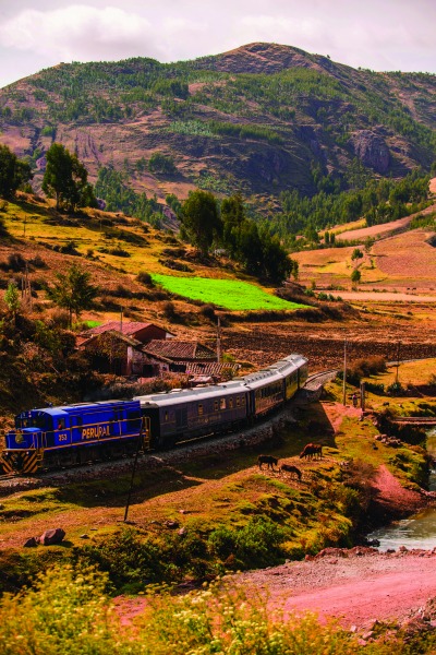 Paddington au Pérou : train Belmond Hiram Bingham pour Cusco