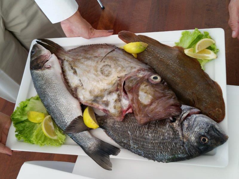 Robalo, John Dory, linguado de limão e dourada são apenas alguns dos peixes frescos da ementa do Martinhal Sagres - foto Debra Smith