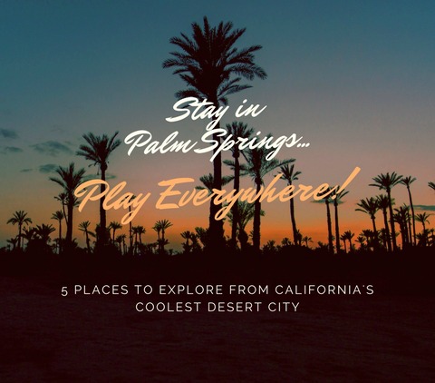 Stay in Palm Springs Play Everywhere! (canva template)