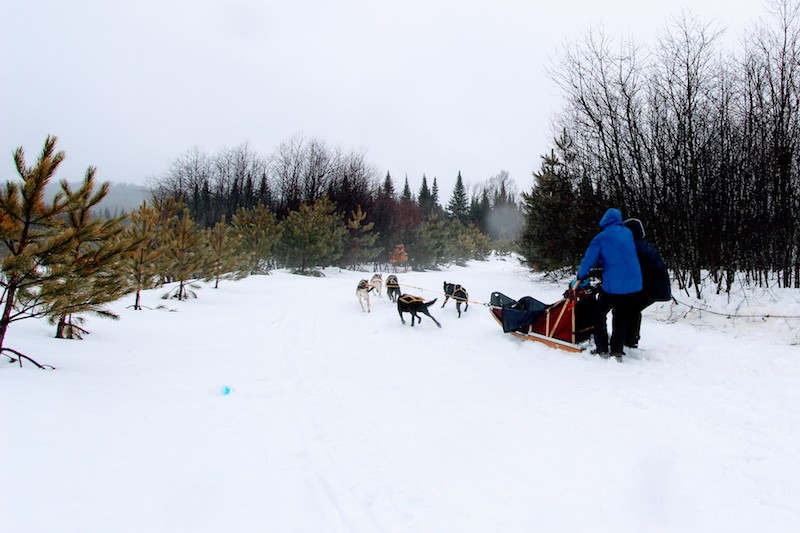 FORD Winter Adventures in the Heart of the Laurentians Dog Sledding