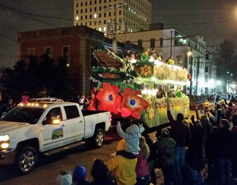 The Lafayette Mardi Gras Guide - The parades roll on in every weather - photo Debra Smith