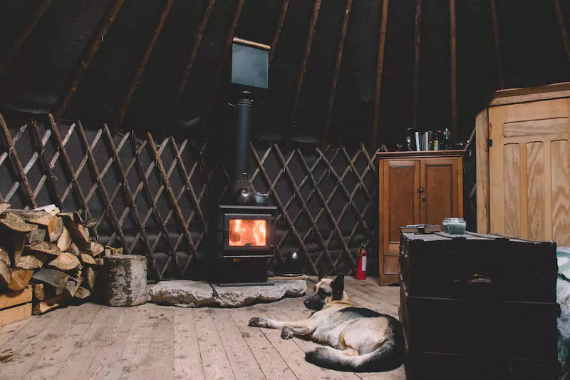 Buffalo Farm - Pet-friendly Yurt in Ontario