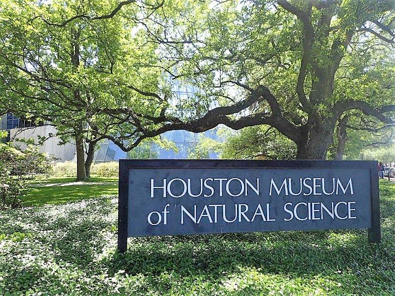 ヒューストン自然科学博物館の外観-写真ShelleyCameronMcCarron