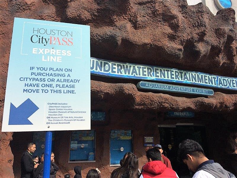 Beat the crowds at the Houston Aquarium with the CityPass only line - Photo Shelley Cameron McCarron