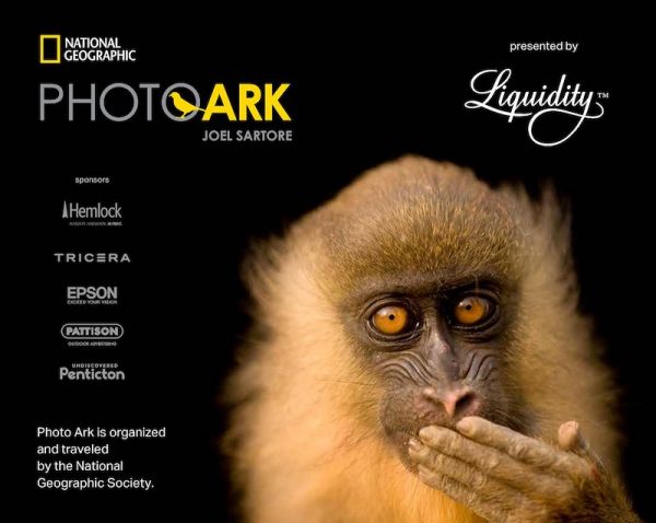 Crédito de la foto: Joel Sartore/National Geographic Photo Ark