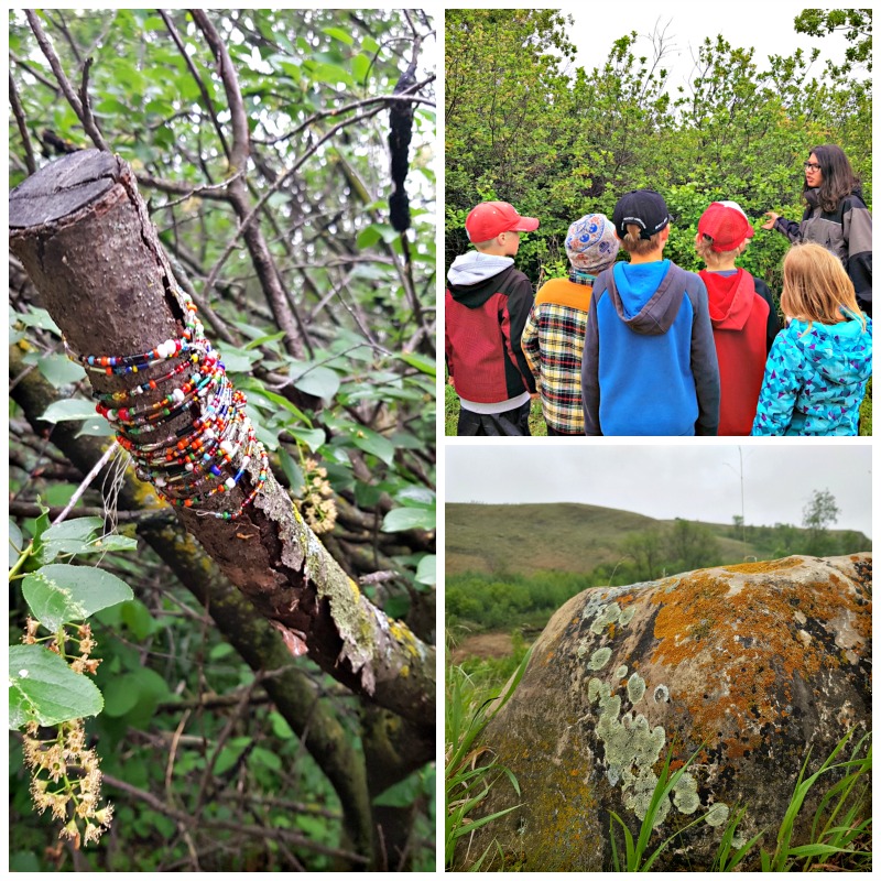 Wanuskewin Tipi Sleepover