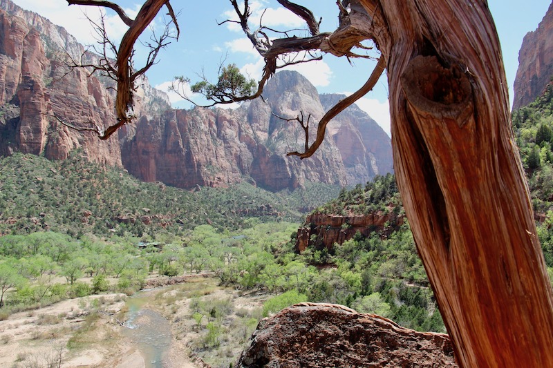 Zion National Park (Family Fun Canada)