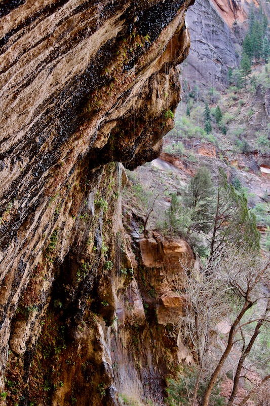 Parque Nacional Zion (Family Fun Canada)