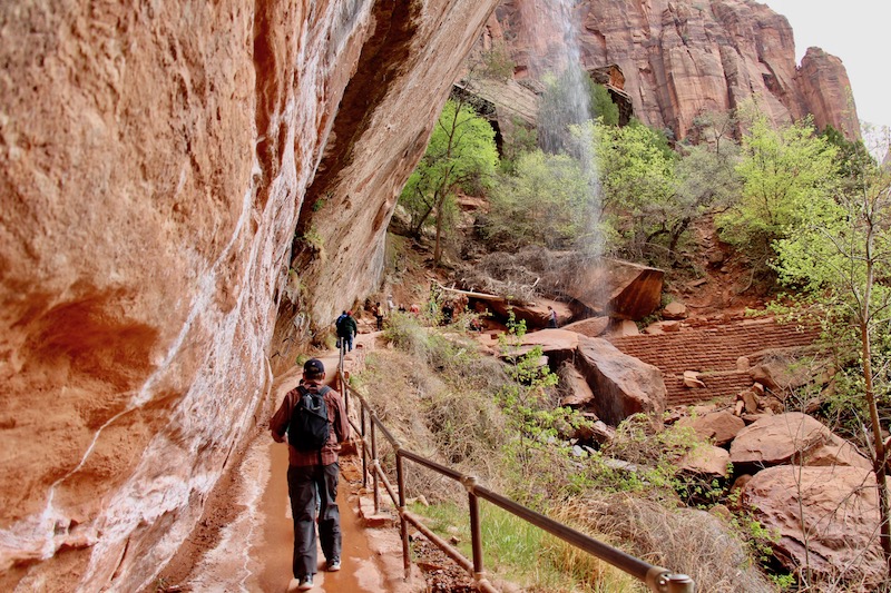 Zion National Park (Family Fun Canada)