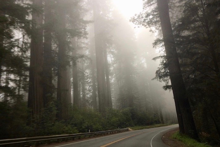 Costa do Oregon (Diversão em Família Calgary)