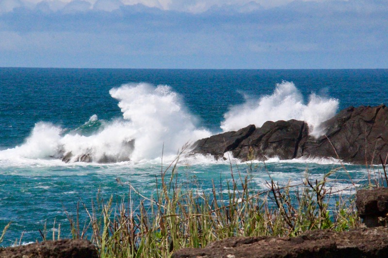 Oregon Coast (Family Fun Calgary)