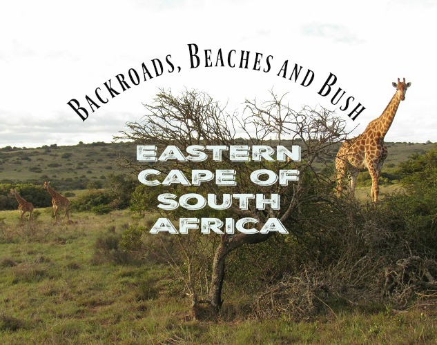 Backroads, beaches and Bush, Eastern Cape of South Africa