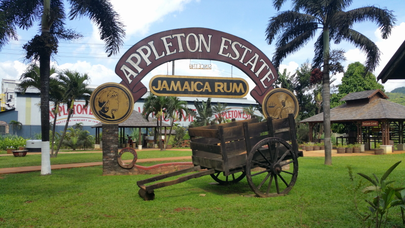 Entre outros produtos, Appleton tem um rum de cinquenta anos, que é o rum envelhecido em barril mais antigo do mundo. Foto Adán Cano Cabrera