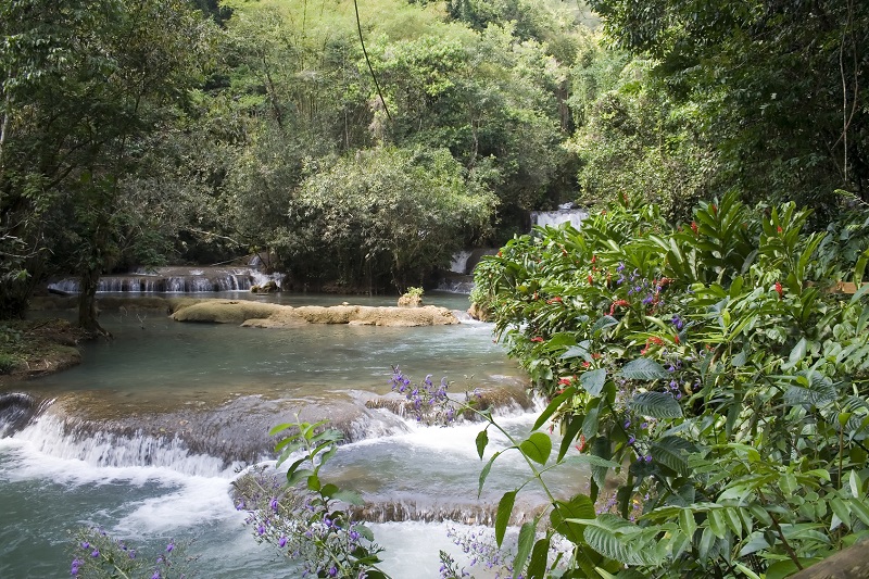 YS River Waterfall in the jungle of Jamaica.