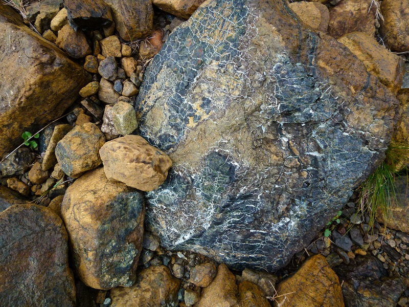 Parque Nacional Gros Morne: los jóvenes geólogos disfrutarán de emocionantes especímenes de rocas - Foto de Jan Napier