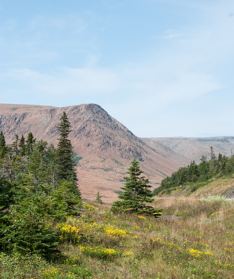 Gros Morne National ParkTablelands4 - ਜਾਨ ਨੇਪੀਅਰ ਦੁਆਰਾ ਫੋਟੋ