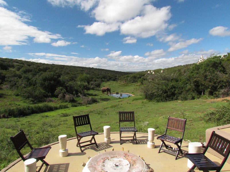 Unser erster Besuch von Norman dem Elefanten in der Amakhala Safari Lodge – Foto Debra Smith