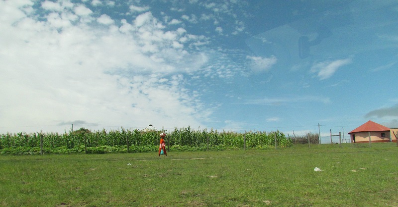 Las colinas del Cabo Oriental de Sudáfrica están cubiertas de campos y tierras de cultivo - foto Debra Smith