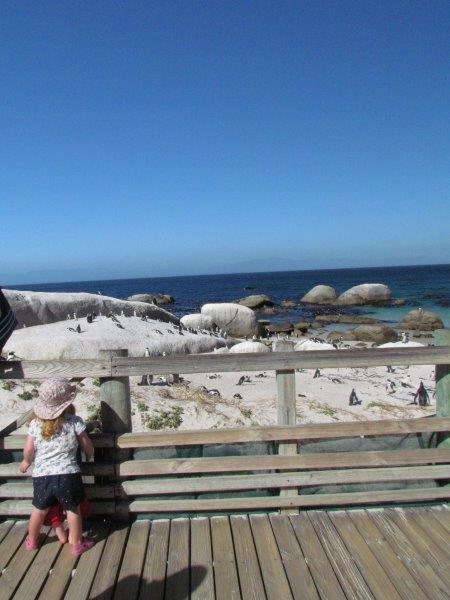 Checking out the penguins at Boulders Beach - photo Debra Smith