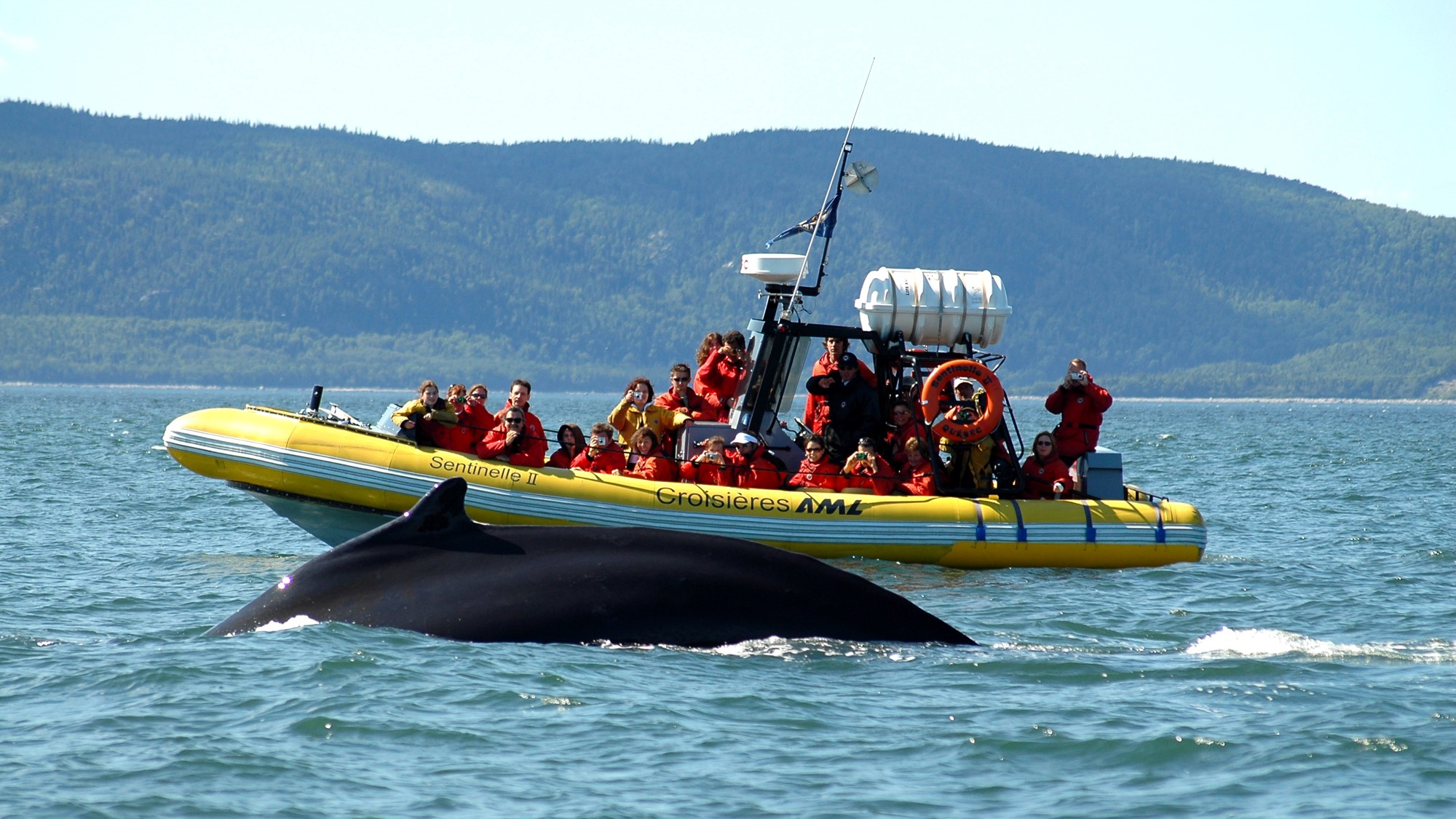 AML 크루즈가 포함된 Saguenay 강 고래 관찰 조디악 투어, 매력적인 샤를부아를 탐험하는 9가지 방법