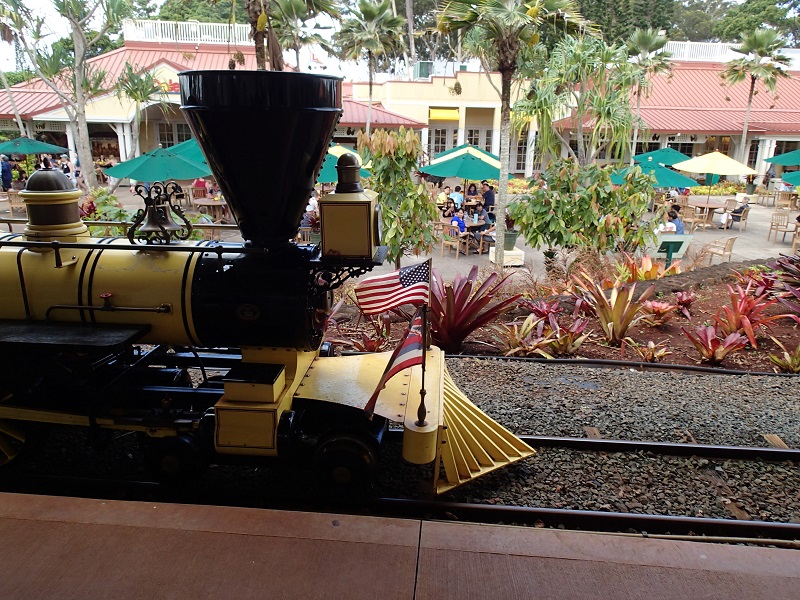 Steigen Sie bei The Dole Pineapple Plantation in den Pineapple Express – Foto Debra Smith