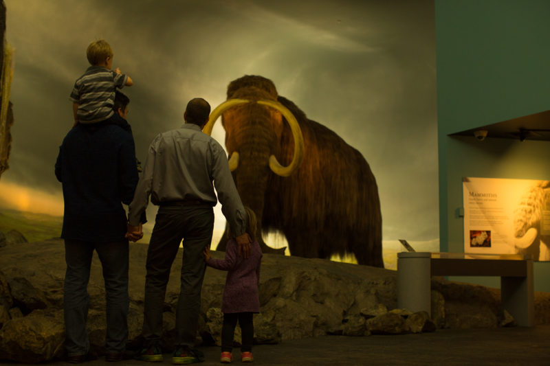 Young family admires wooly mammoth in Royal BC Museum