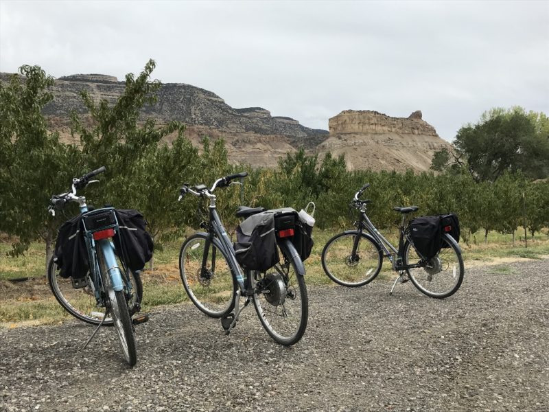 E-Biken der Weinverkostungsstrecke. Foto Kate Robertson