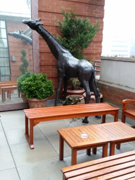 One of many giraffes at the Hotel Giraffe - this one is on the terrace - photo Debra Smith