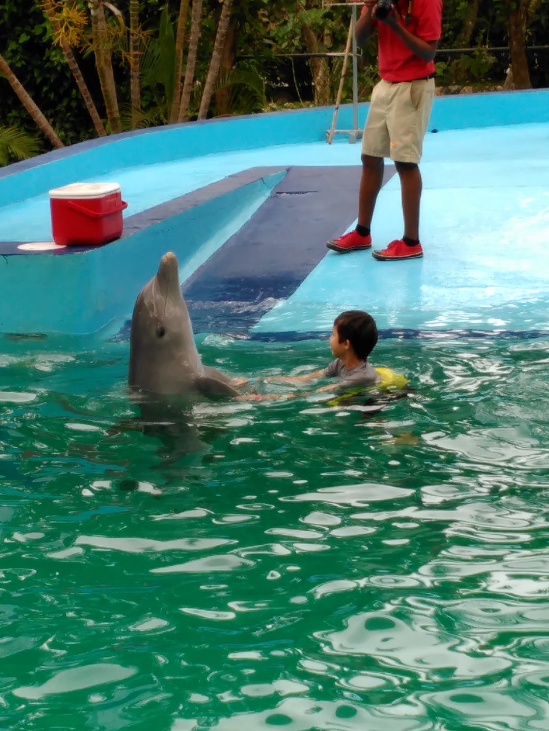 dolphin swim - Photo Stephen Johnson