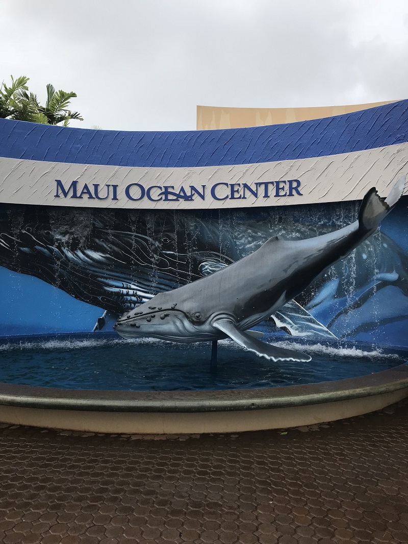 Мауи - Ocean Center - Фото Коди Дарнелл