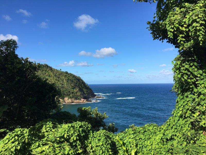 Dominica - Vista do Patrimônio Histórico - Foto Melody Wren