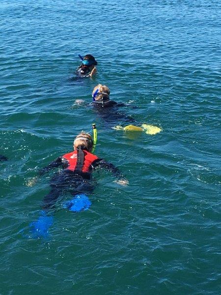 UnCruise snorkelwhaleshark14 ਫੋਟੋ ਮੇਲੋਡੀ ਵੇਨ