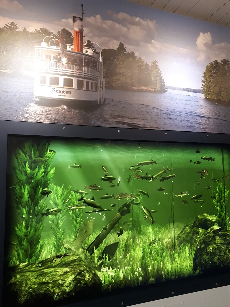 Ontario Cottage Country Road Trip - Discovery Centre Muskoka - Photo Sabrina Pirillo