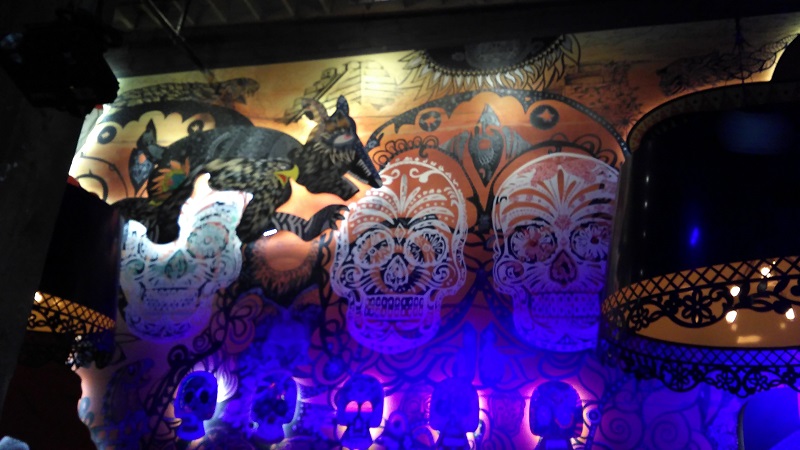 Toronto Sugar skulls Photo Stephen Johnson