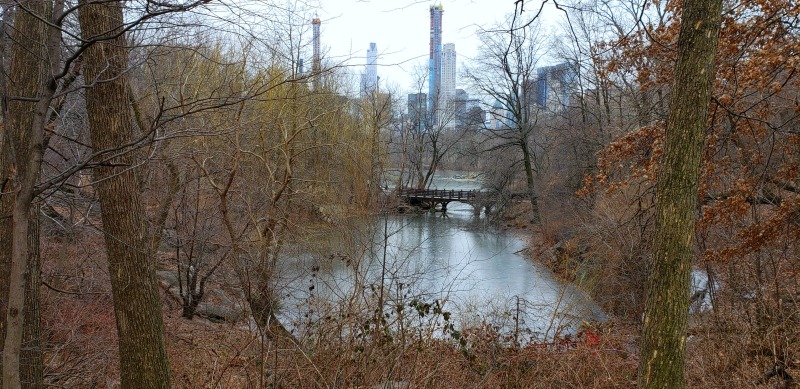 Uma ponte sobre uma lagoa no Central Park durante o inverno