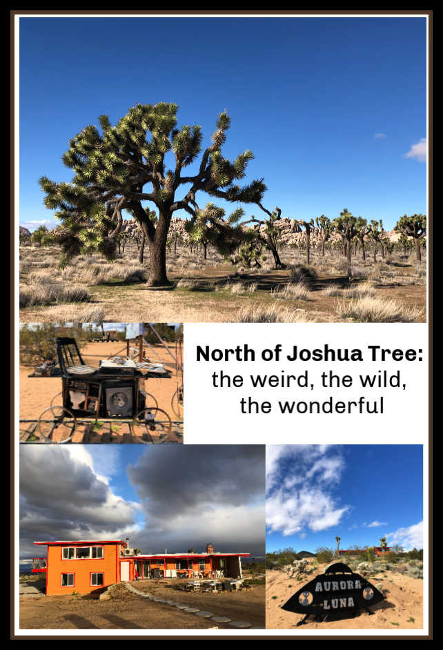 Norte de Joshua Tree: o estranho, o selvagem, o maravilhoso