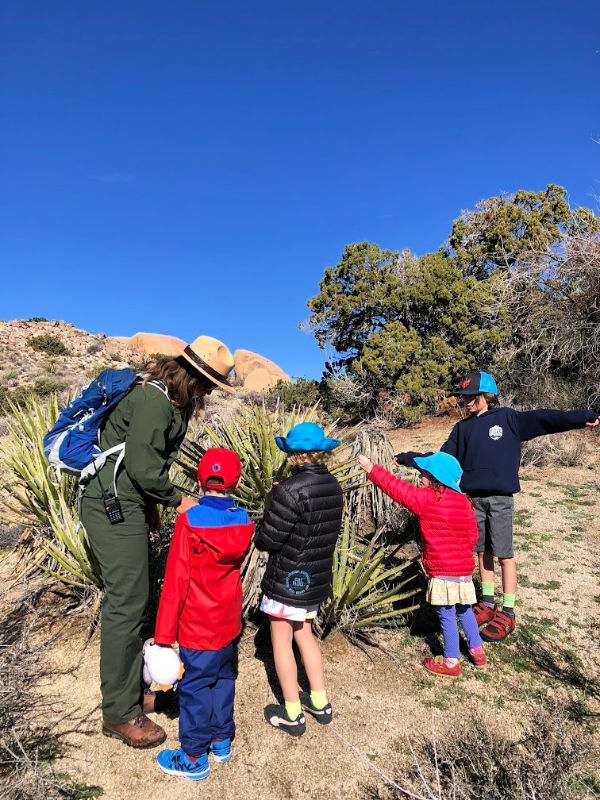 Junior Ranger hike in Joshua Tree Photo Miranda Post