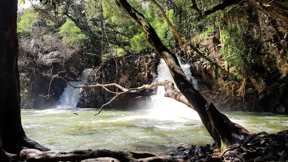 Must-see Maui for Families
