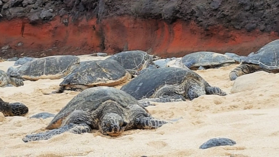 Must-see Maui for families