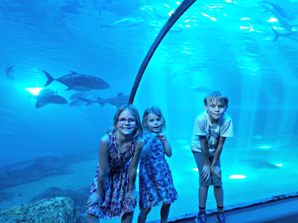 Must-see Maui for families