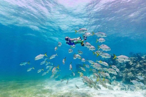 Foto de mergulho com snorkel cortesia de Turks&Caicos Tourism