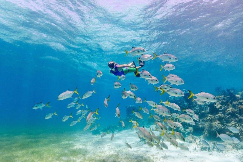 Schnorchelfoto mit freundlicher Genehmigung von Turks&Caicos Tourism