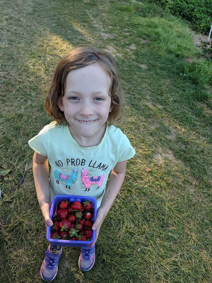 Beeren pflücken ist eine großartige Aktivität und ein Snack! Foto Leah Whitehead