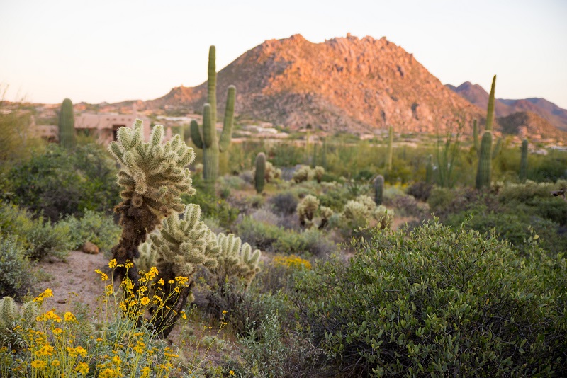 View from the Four Seasons Photo Codi Darnell